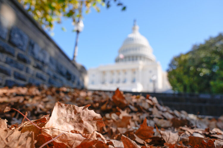 Federal government shutdown heads into week four